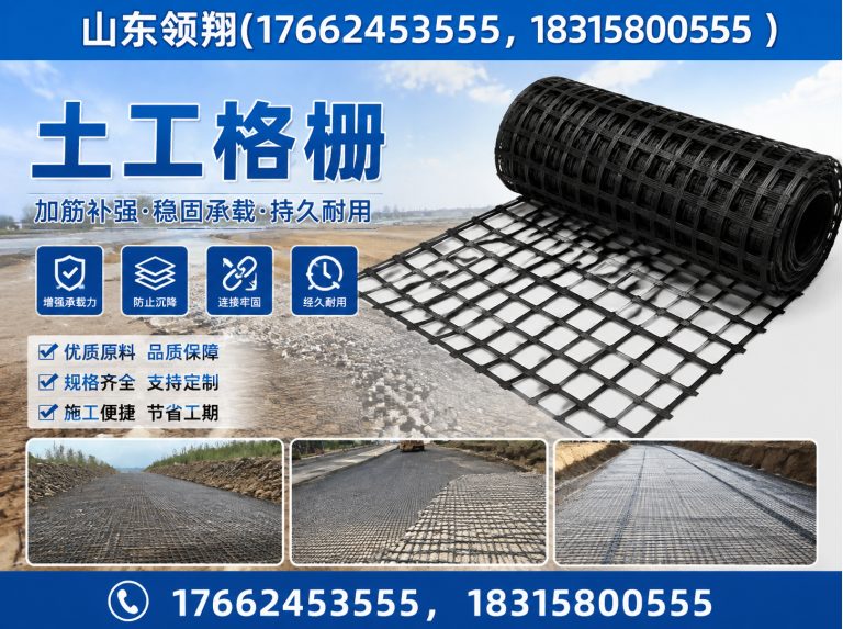 贺州土工格栅展示图